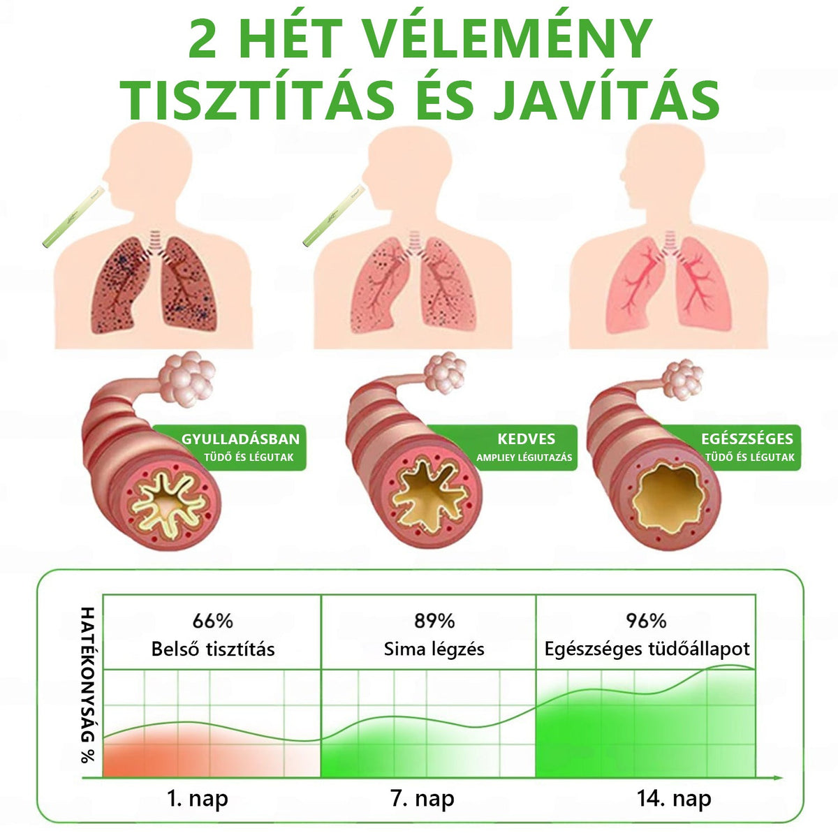 🇭🇺 Hivatalos Webáruház✅𝑴𝒖𝒓𝒘𝒐𝒏® Gyógynövényes Légzéskönnyítő Inhalátor 🌿 (Természetes támogatás a tiszta légutakért és a friss torokért)1💝