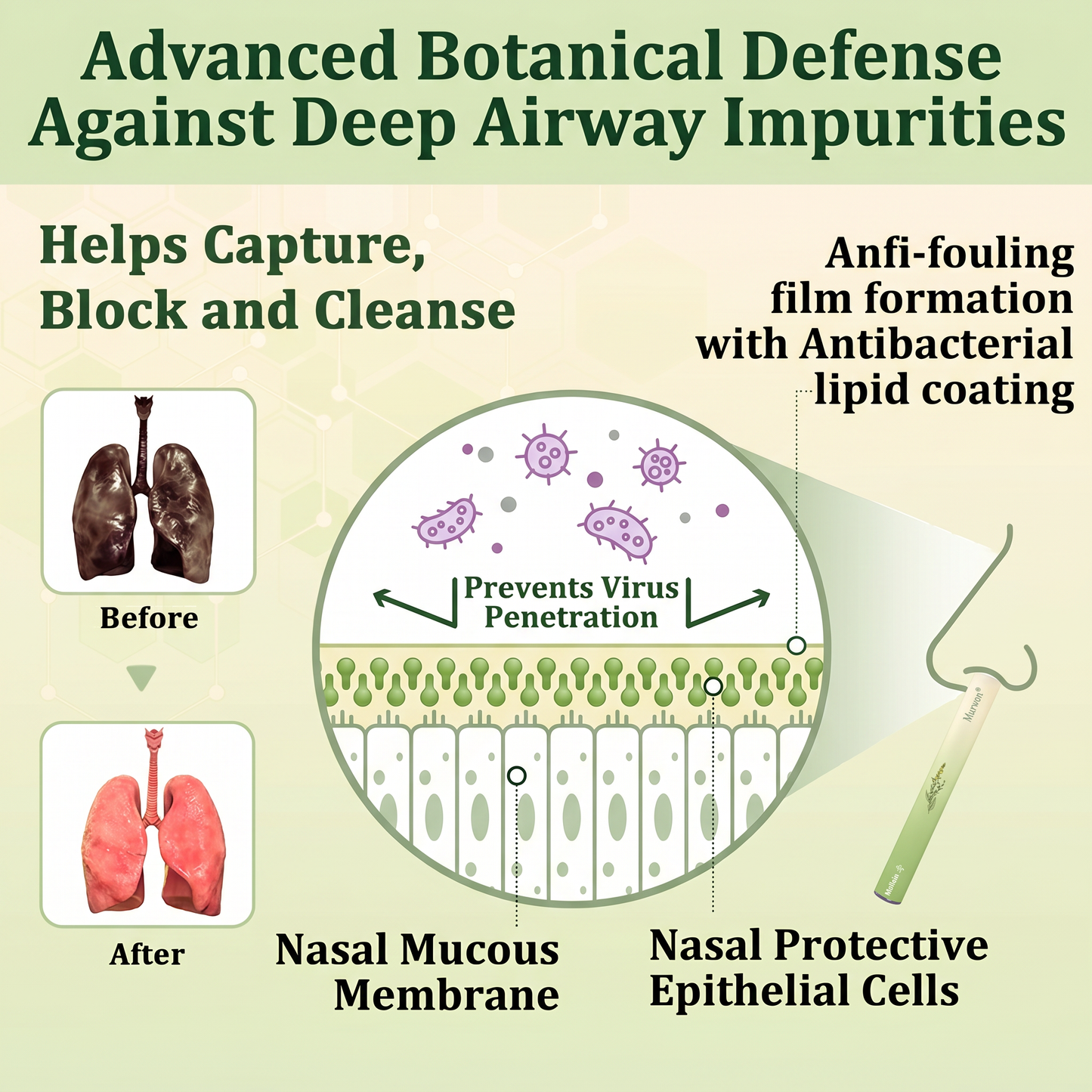 🇨🇦 𝐏𝐫𝐨𝐮𝐝𝐥𝐲 𝐂𝐚𝐧𝐚𝐝𝐢𝐚𝐧 𝗠𝗮𝗱𝗲 & 𝑺𝒉𝒊𝒑𝒑𝒆𝒅✅𝐌𝐮𝐫𝐰𝒐𝒏® 𝐁𝐨𝐭𝐚𝐧𝐢𝐜𝐚𝐥 𝐌𝐮𝐥𝐥𝐞𝐢𝐧 𝐋𝐮𝐧𝐠 𝐂𝐥𝐞𝐚𝐧𝐬𝐞 𝐃𝐢𝐟𝐟𝐮𝐬𝐞𝐫🔥(👨‍⚕️Cough, Pharyngitis, shortness of breath, sputum, stuffy nose, bronchitis, bronchitis, allergy symptoms, lung discomfort)3❤️